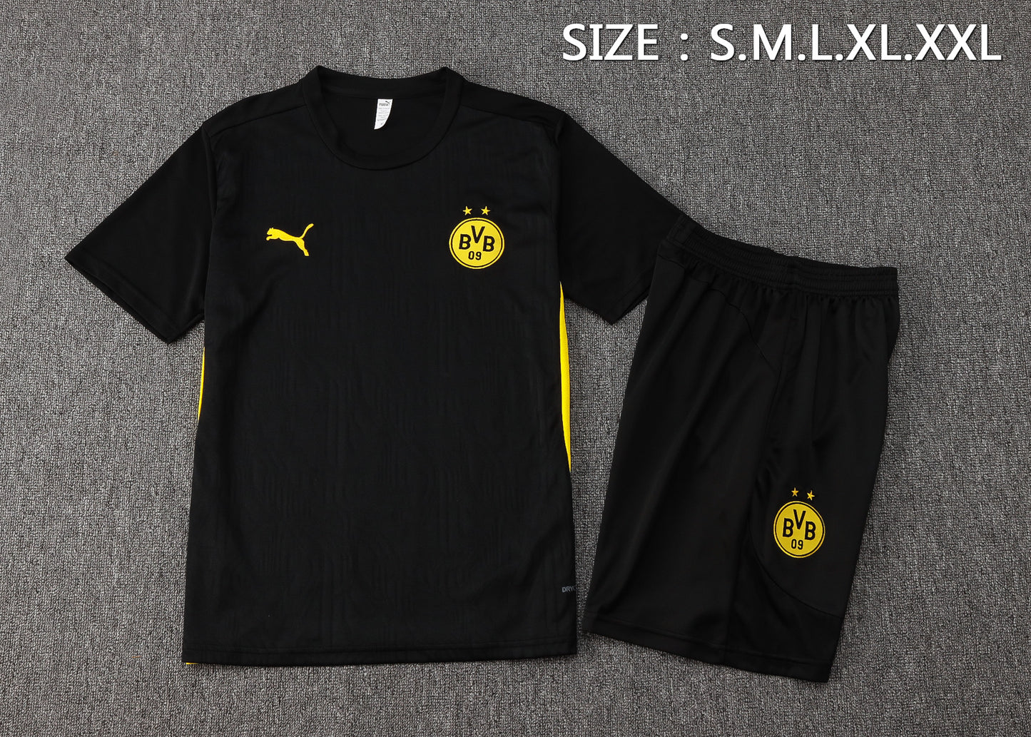 Dortmund Training Set