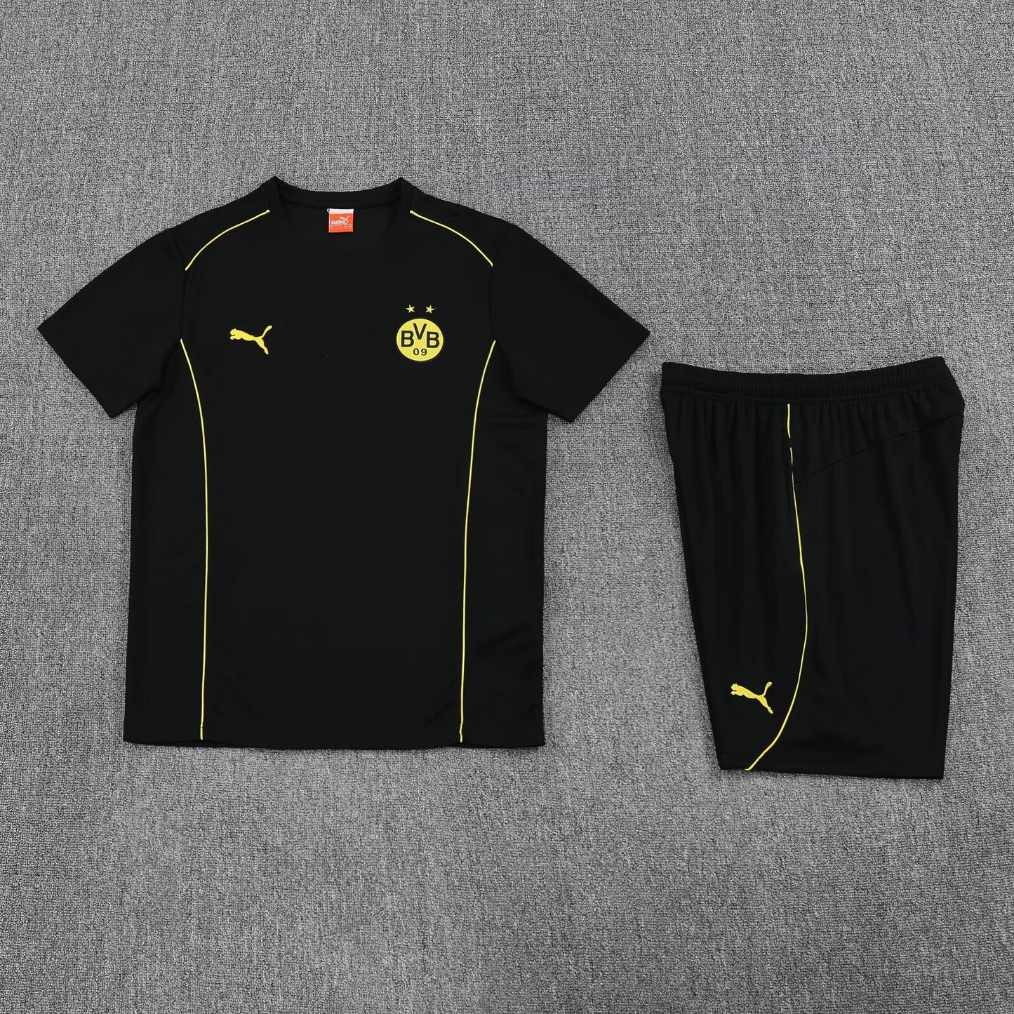 Dortmund Training Set