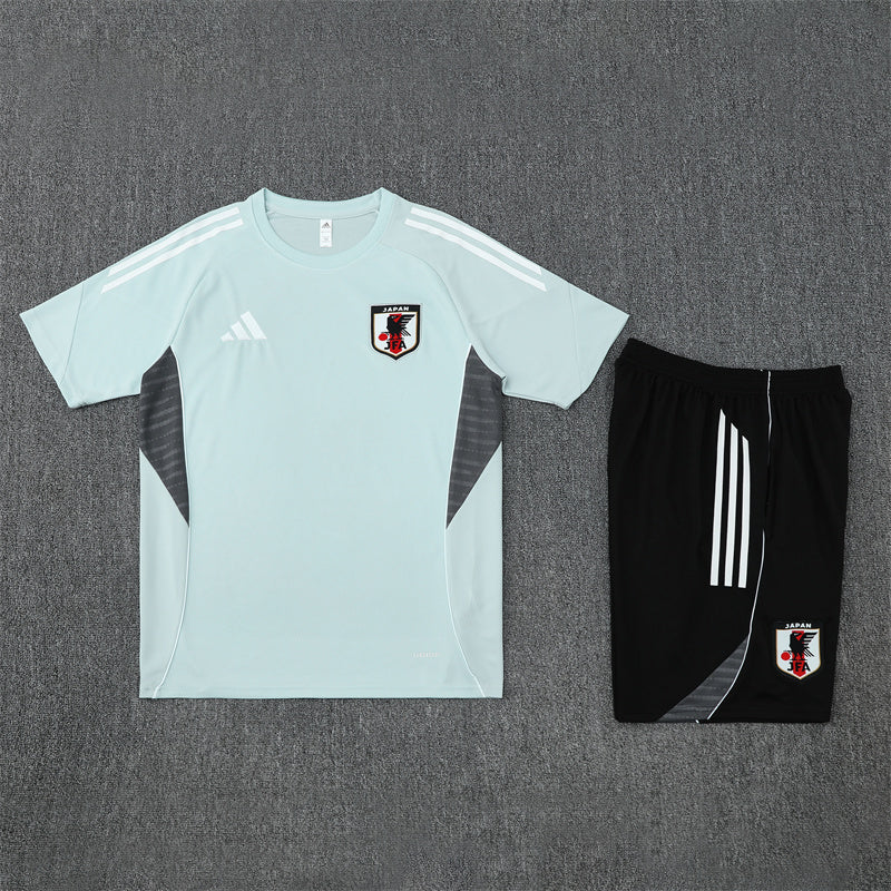 Japan Training Set