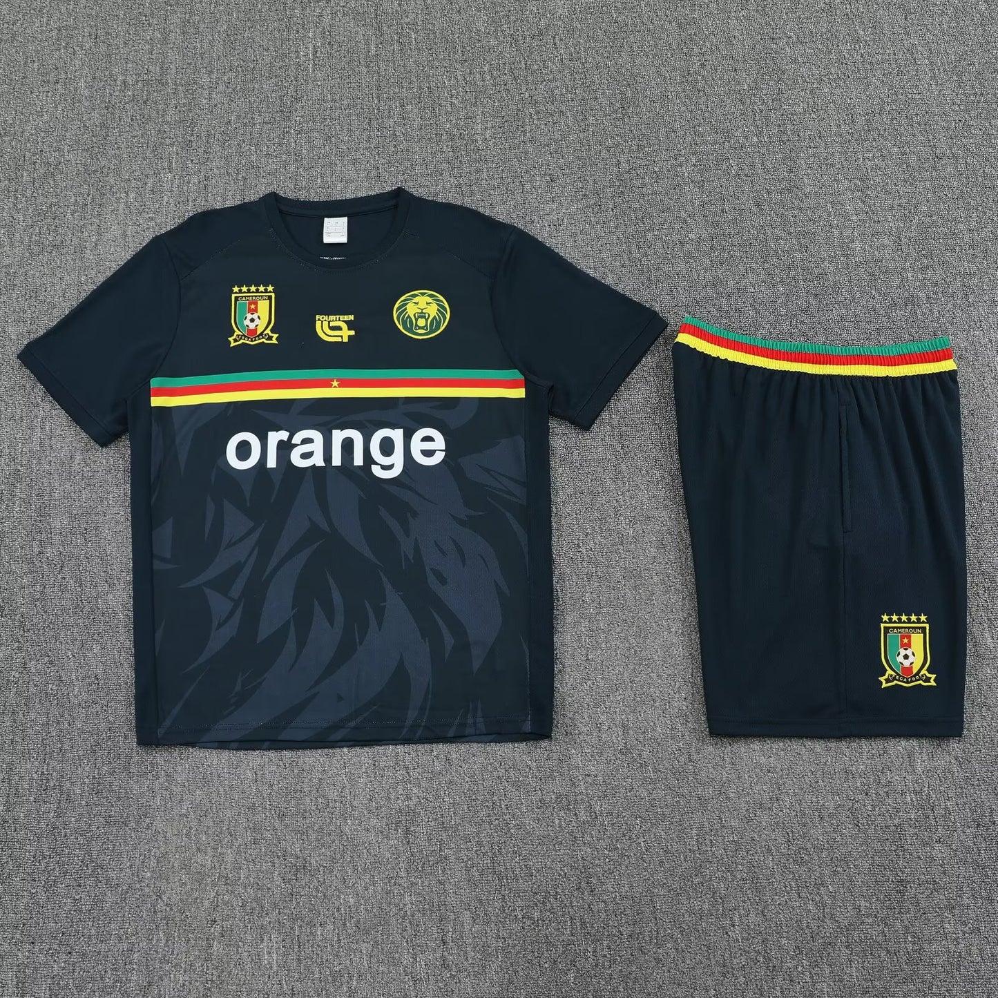 Cameroon Training Sets