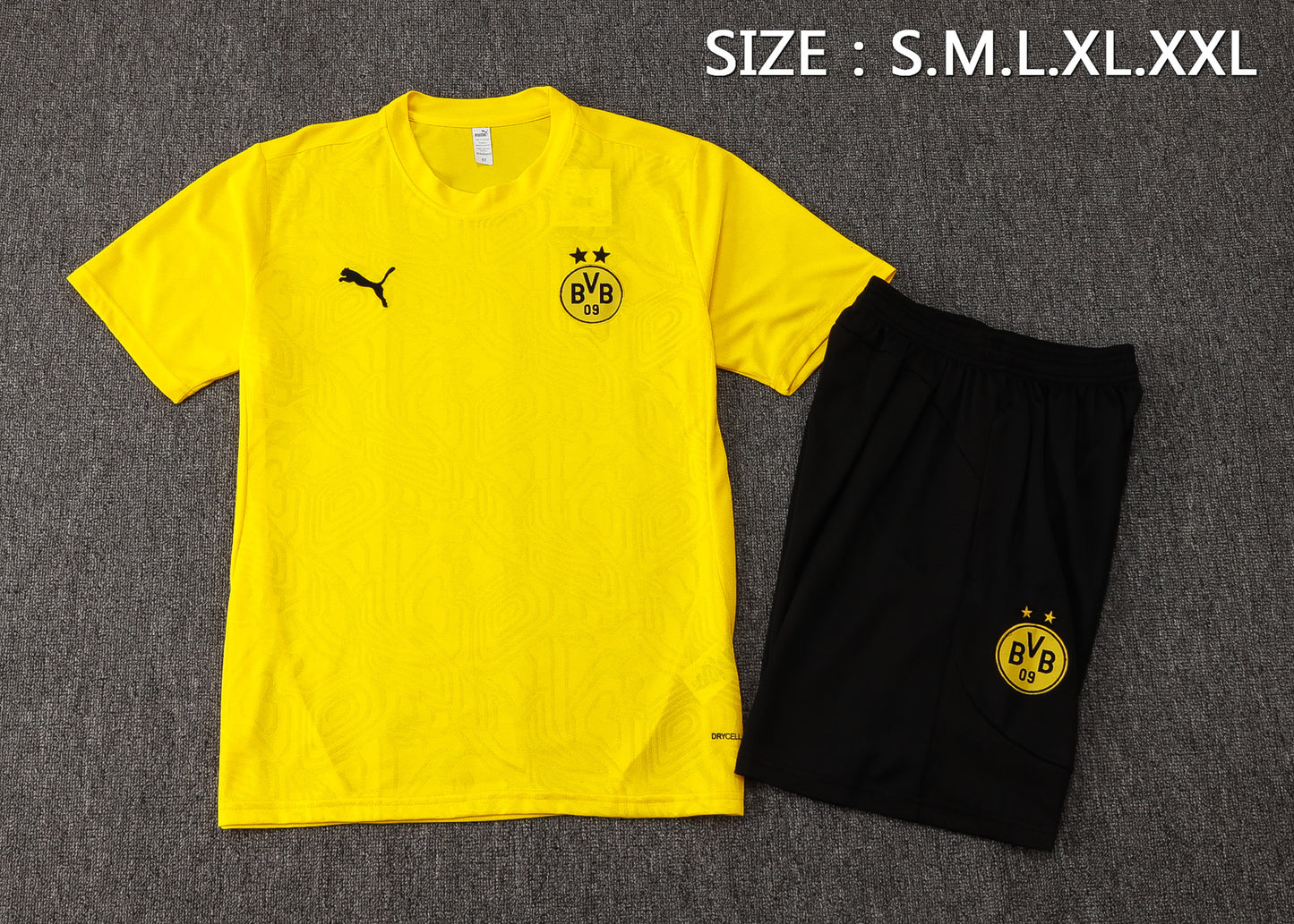 Dortmund Training Set