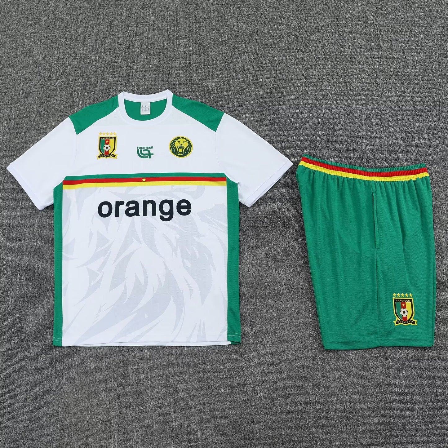 Cameroon Training Sets