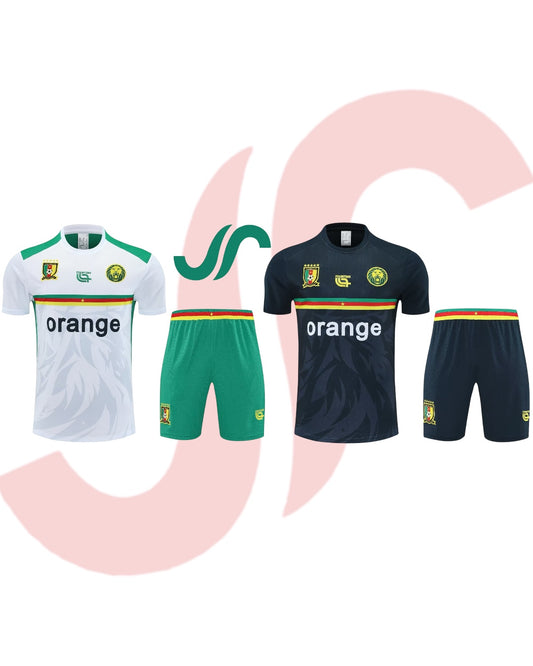 Cameroon Training Sets